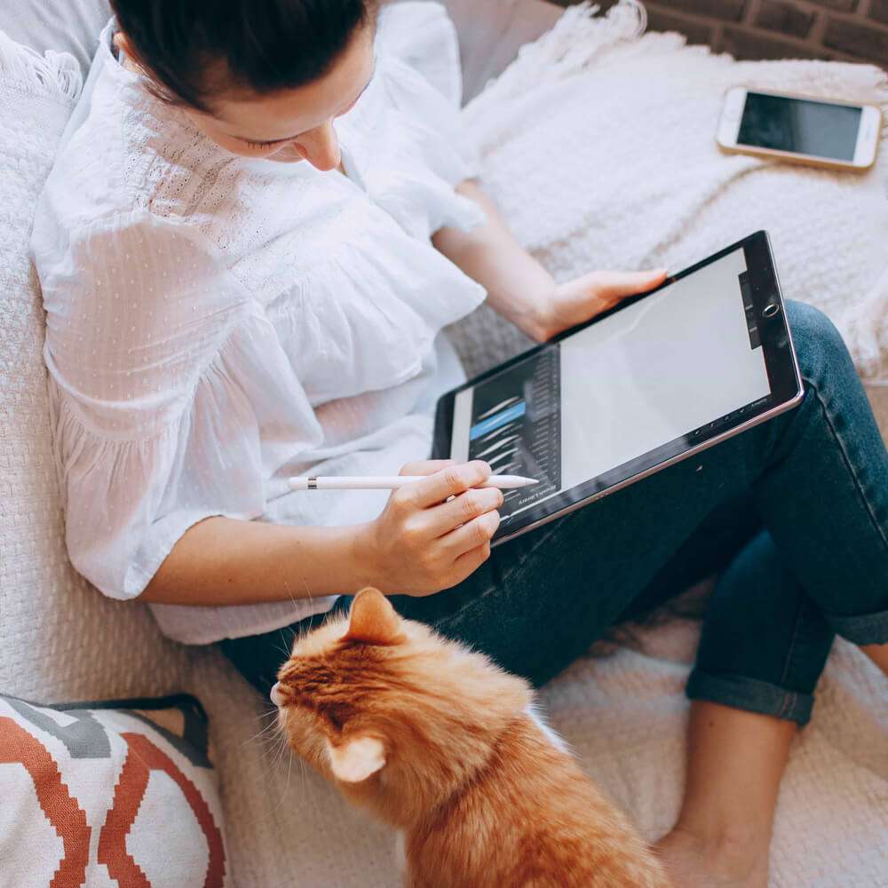 Woman on tablet with cat on sofa